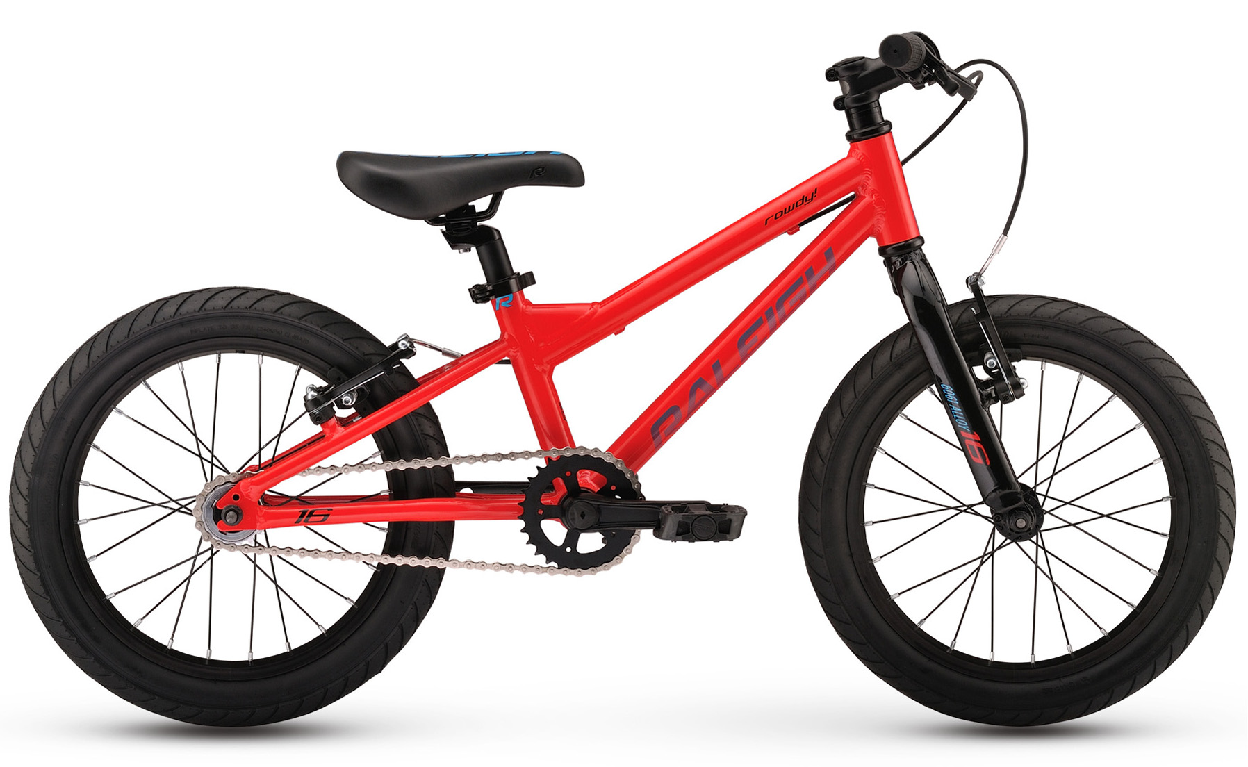 raleigh rowdy 20 review