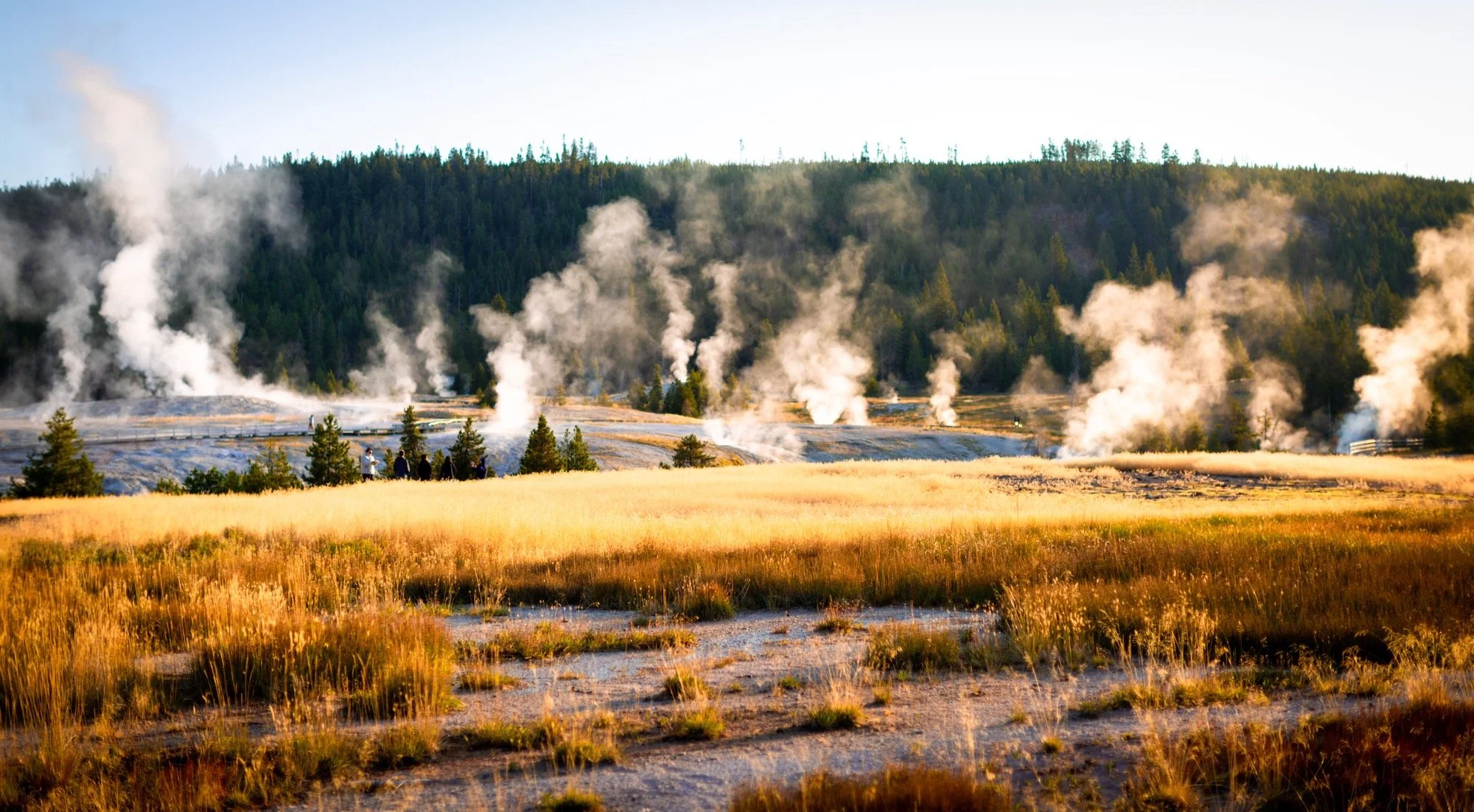 Yellowstone