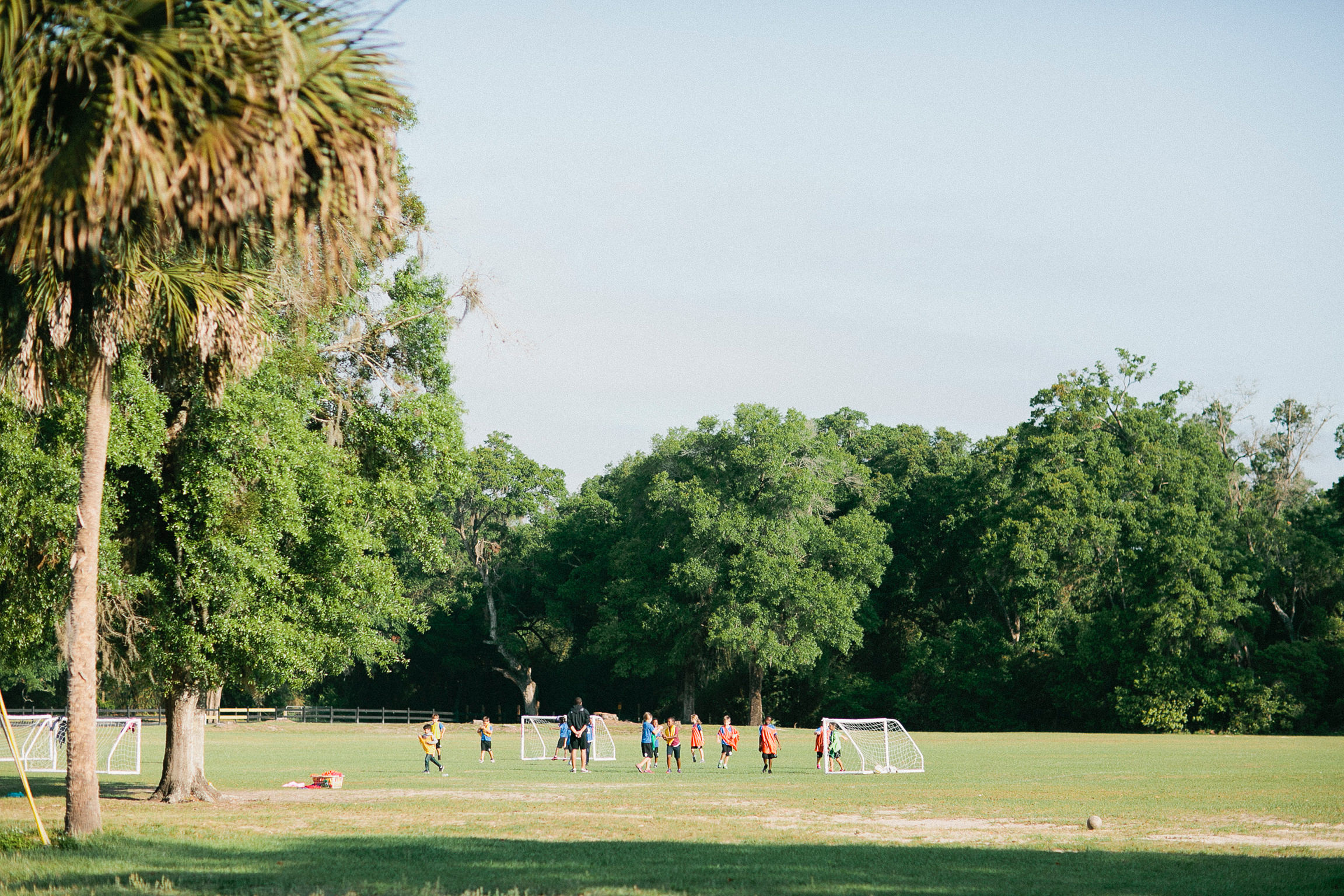 PE and Athletic event fields