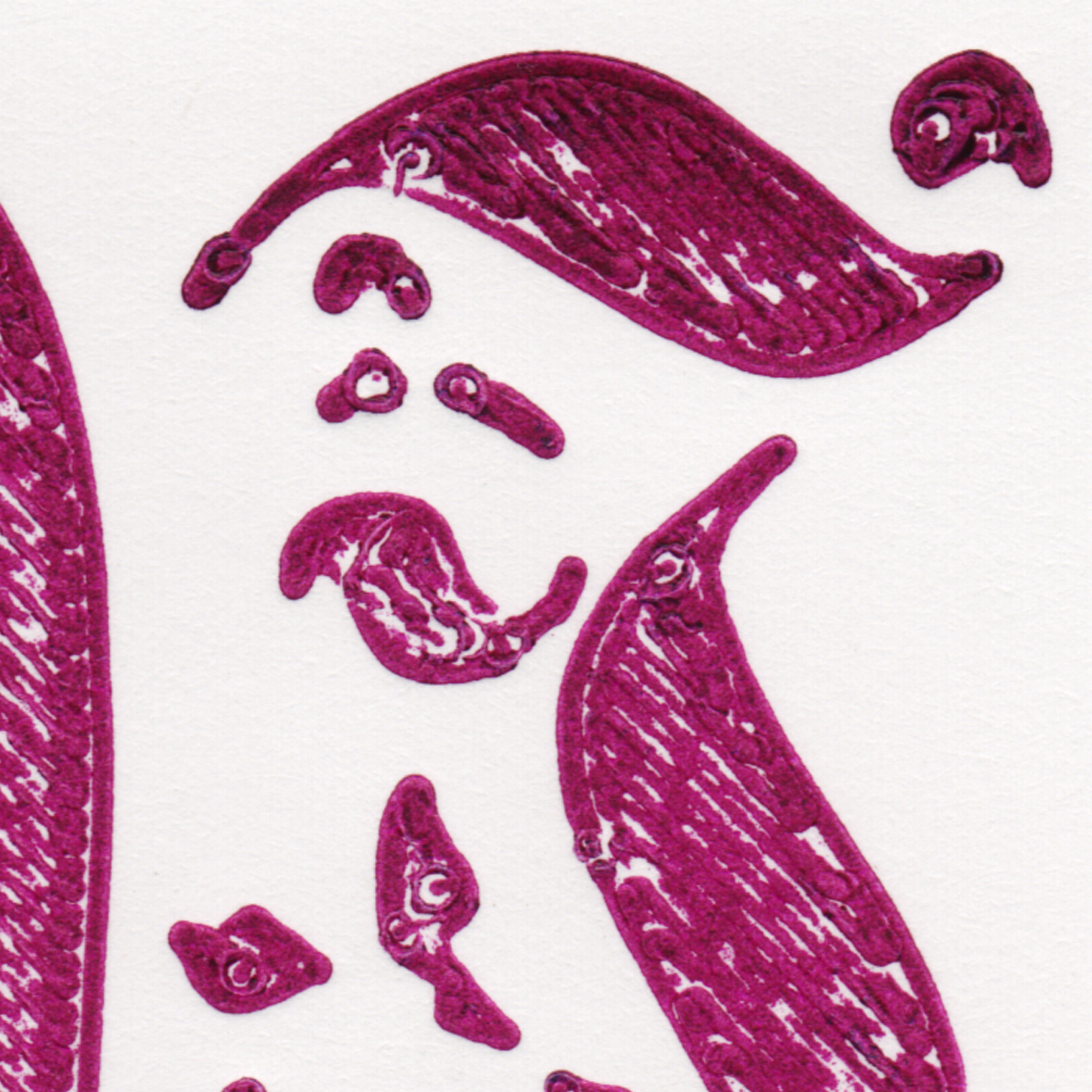 Day_56_11.jpg