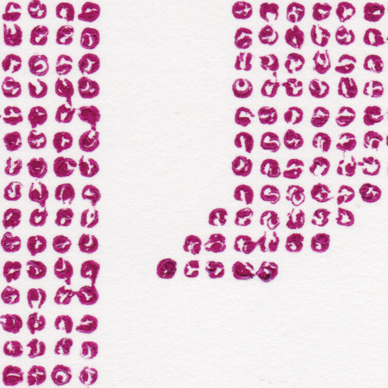 Day_56_14.jpg