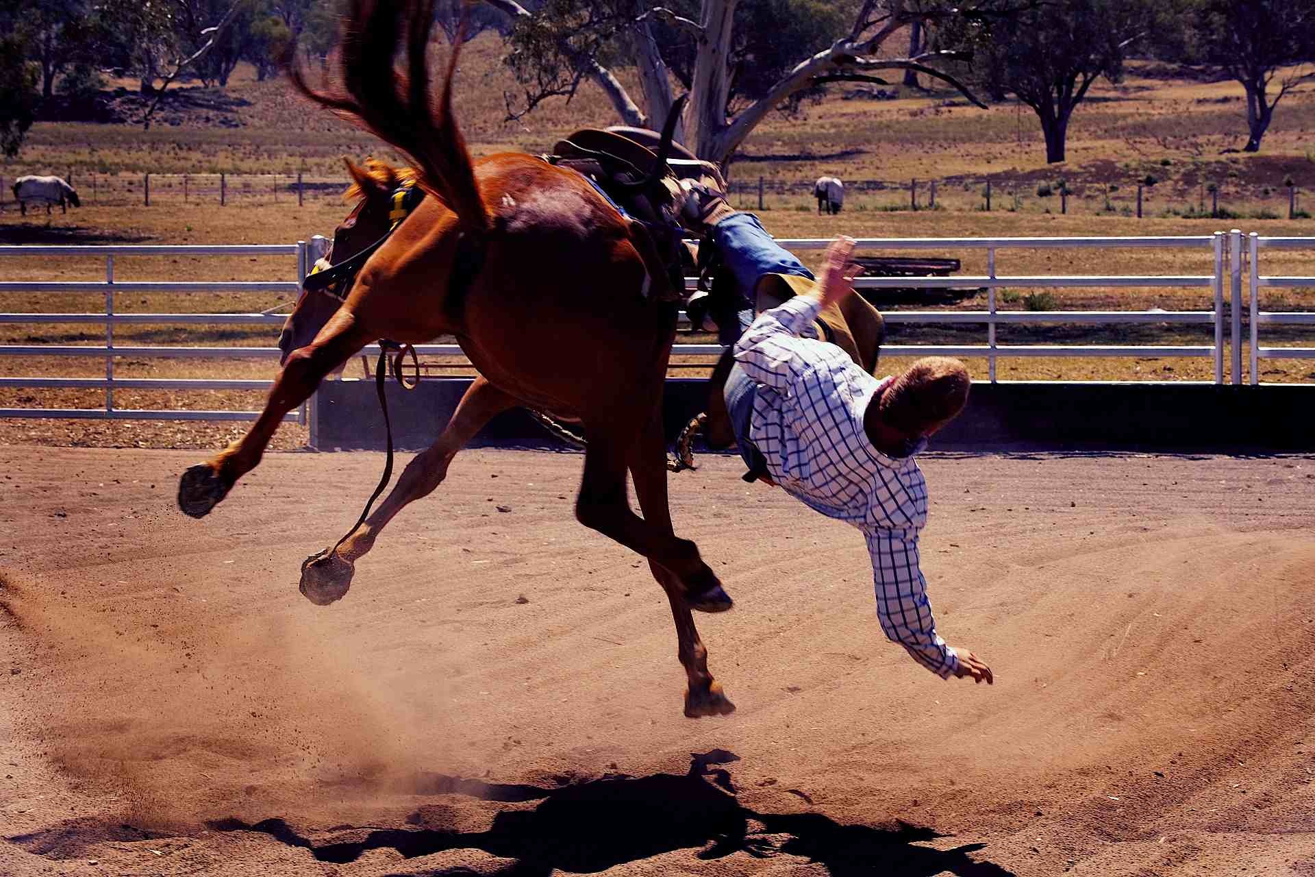 RODEO-LANDROVER-001420 copy.jpg