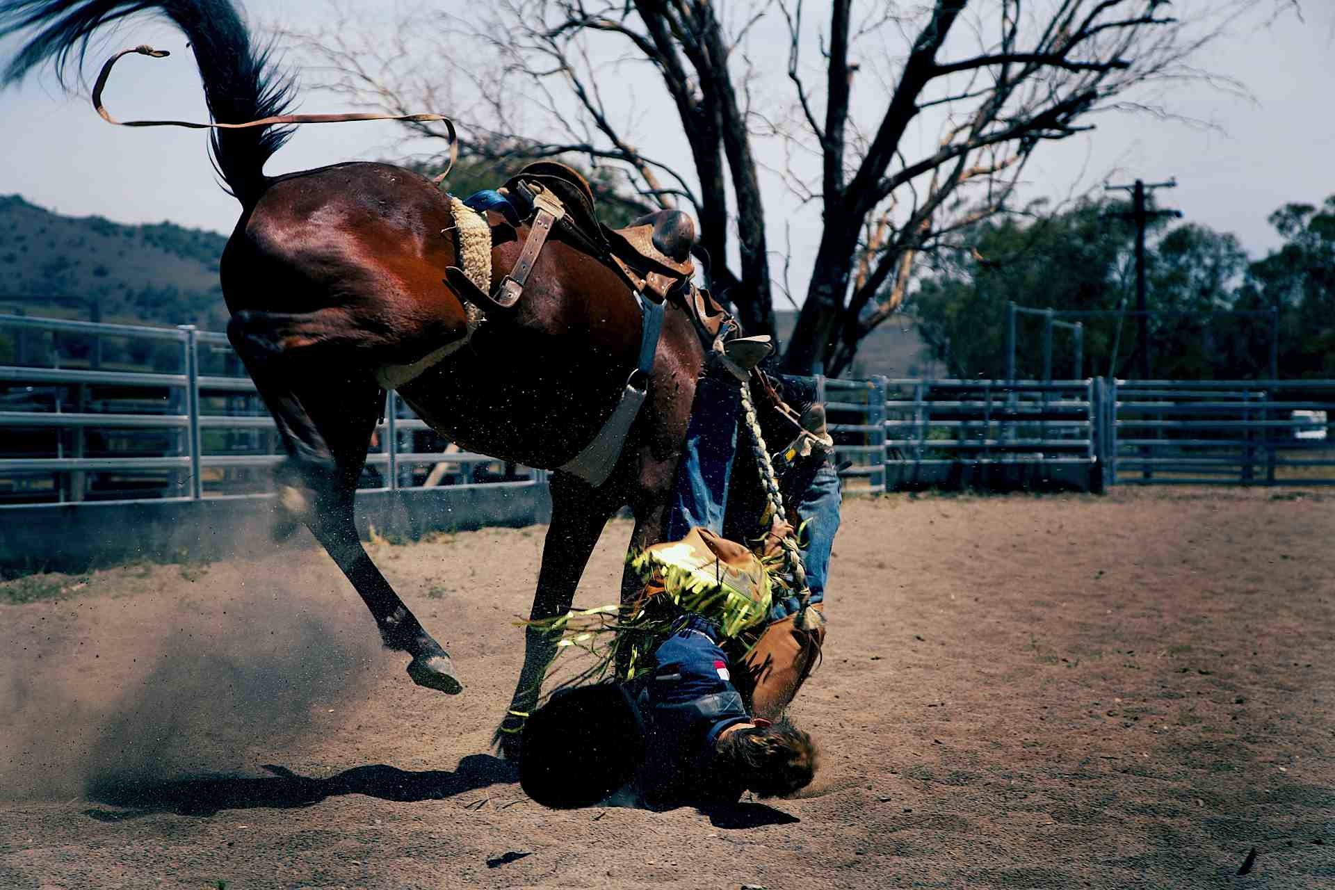 RODEO-LANDROVER-001930 copy.jpg