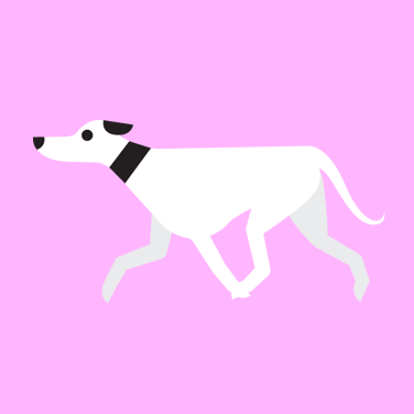 white_dog_walk_gif_02.gif