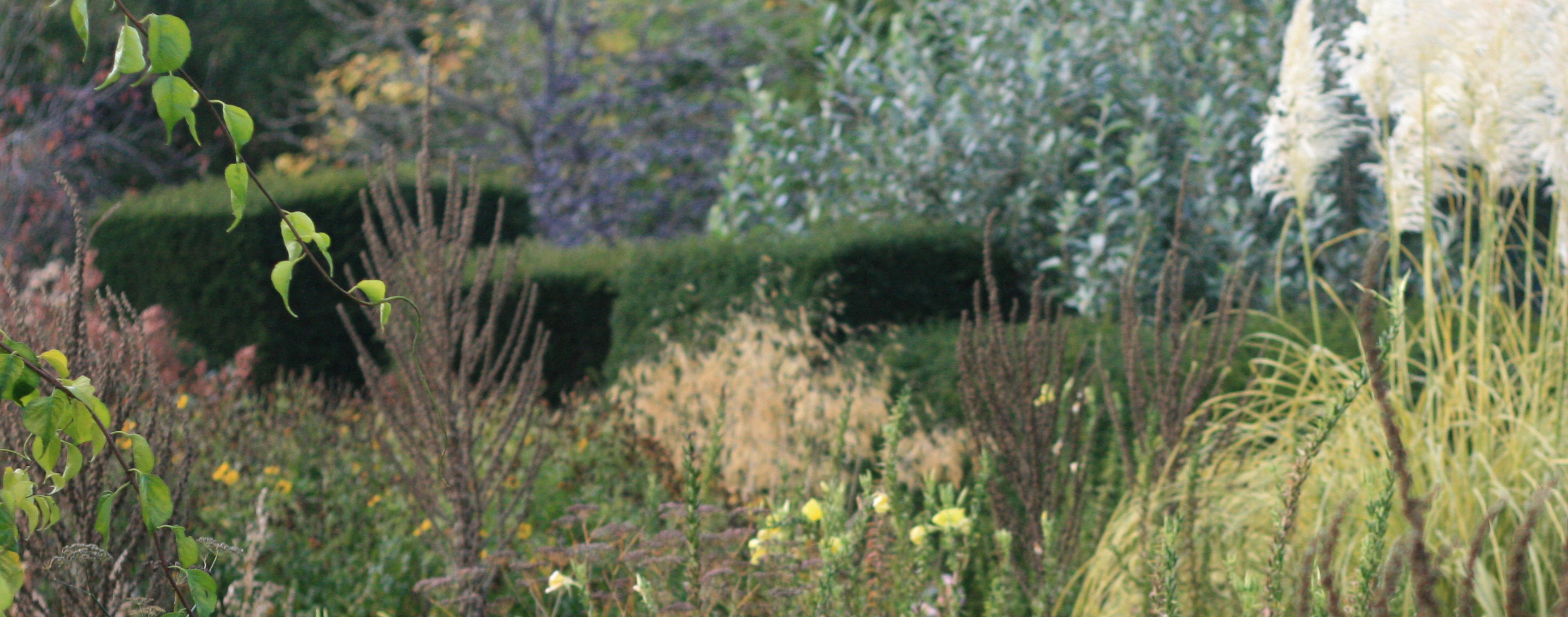 garden-strip.jpg