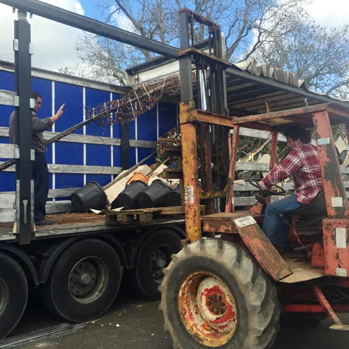 Ed unloading a delivery of trees and shrubs