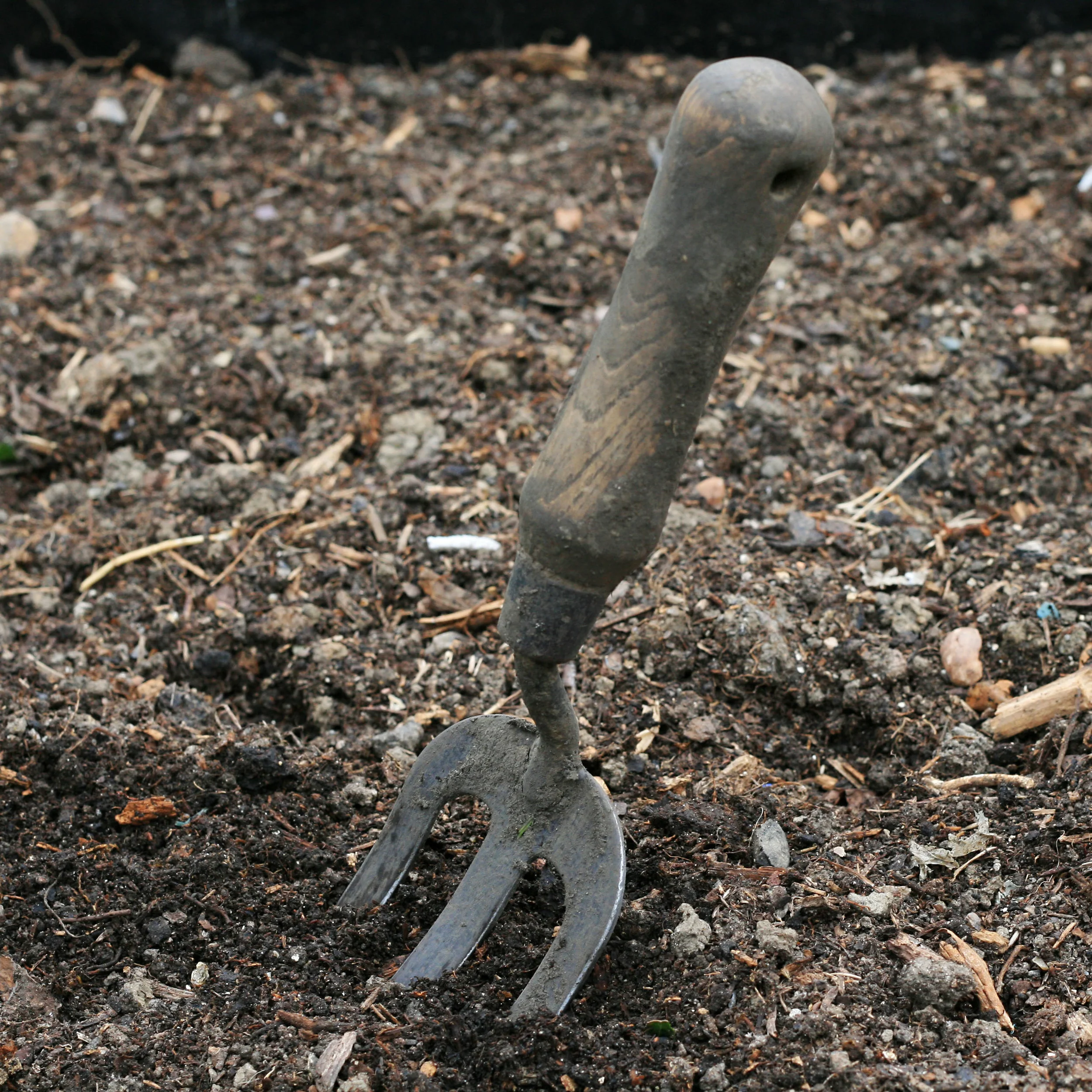 Top ten gardening tools for the new gardener — GARDENS, WEEDS & WORDS