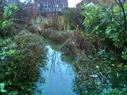 Flood water subsiding, but roots still in the drink. Christmas 2013