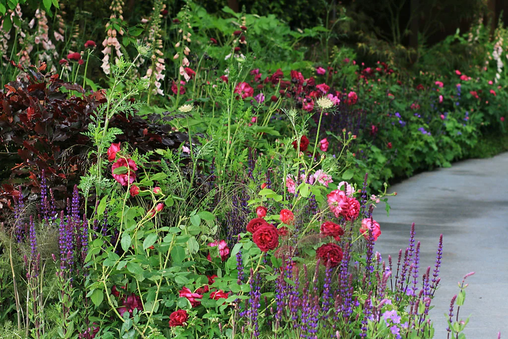 Detail from Jo Thompson’s Chelsea Barracks Garden for Qatari Diar, RHS Chelsea Flower Show 2016