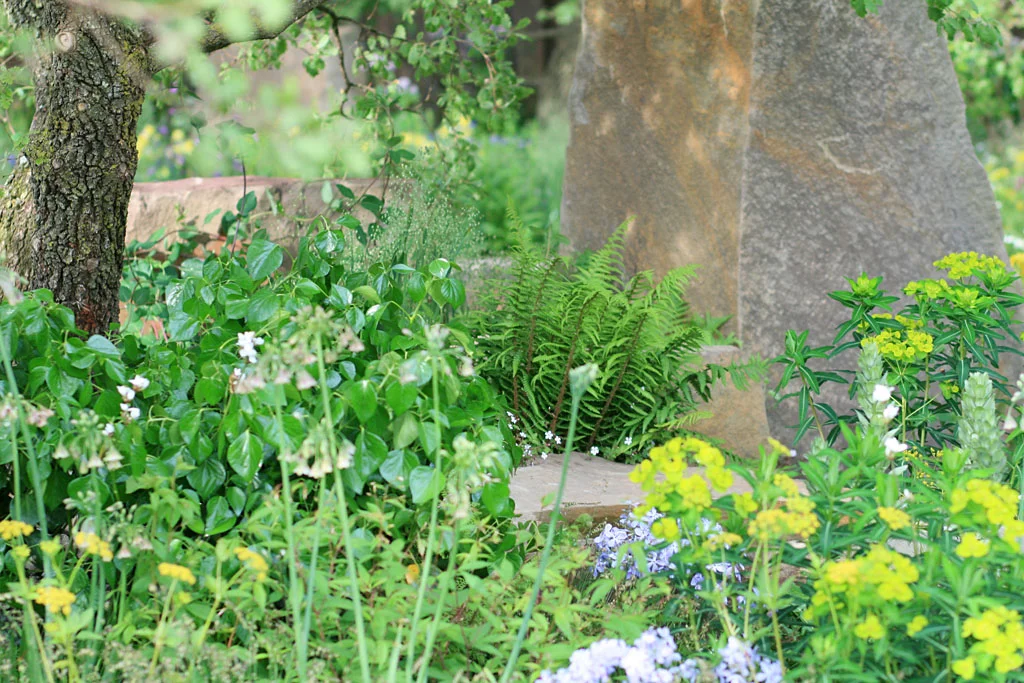 Detail from Cleve West’s M&G Garden , RHS Chelsea Flower Show 2016