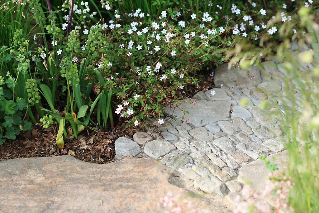 Detail from Cleve West’s M&G Garden , RHS Chelsea Flower Show 2016