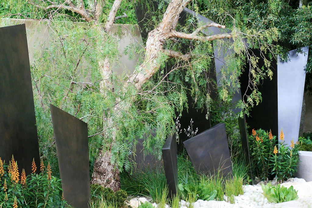 Detail from Andy Sturgeon’s garden for The Telegraph , RHS Chelsea Flower Show 2016