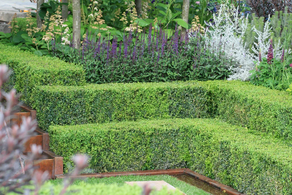 Detail from Charlie Albone’s Husqvarna Garden , RHS Chelsea Flower Show 2016