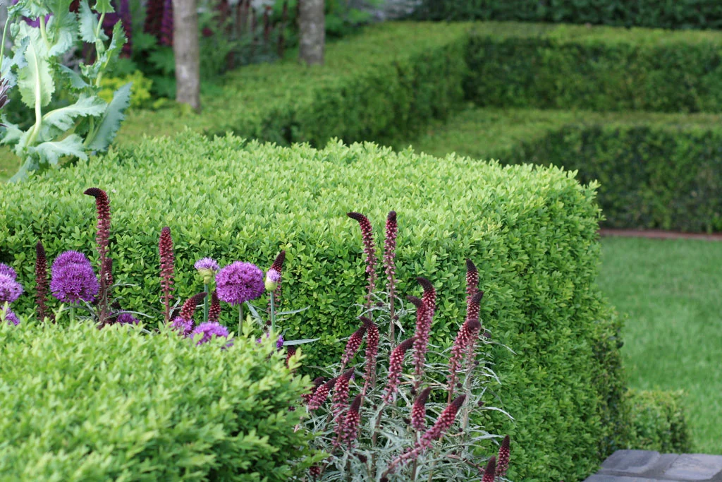 Detail from Charlie Albone’s Husqvarna Garden , RHS Chelsea Flower Show 2016