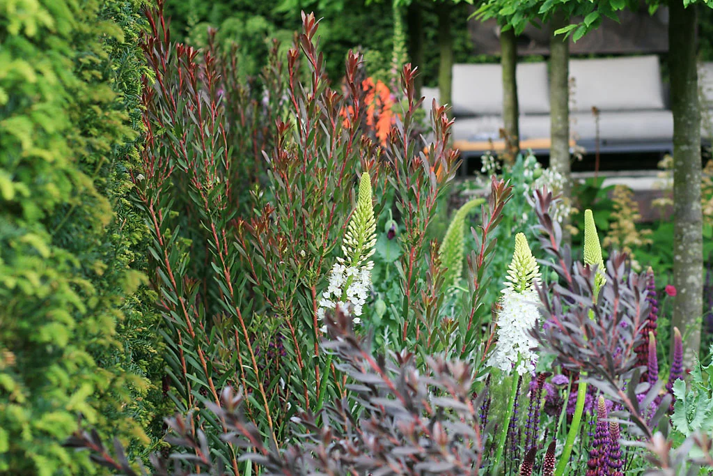 Detail from Charlie Albone’s Husqvarna Garden , RHS Chelsea Flower Show 2016