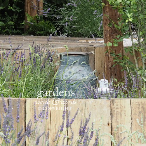 Detail from Shropshire Lavender’s Lavender Garden