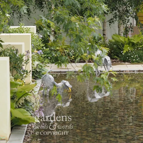 Detail from Paul Hervey-Brookes’ Dog’s Life garden for The Dogs’ Trust