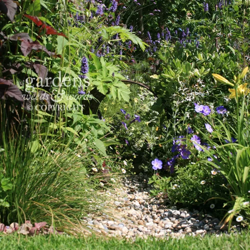 Detail from Paul Hervey-Brookes’ Dog’s Life garden for The Dogs’ Trust