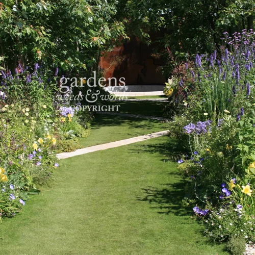 Detail from Paul Hervey-Brookes’ Dog’s Life garden for The Dogs’ Trust