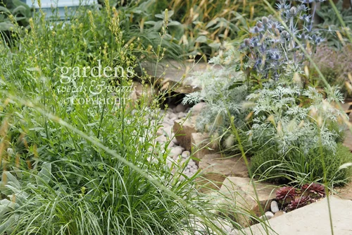 Detail from The Drought Garden by Steve Dimmock