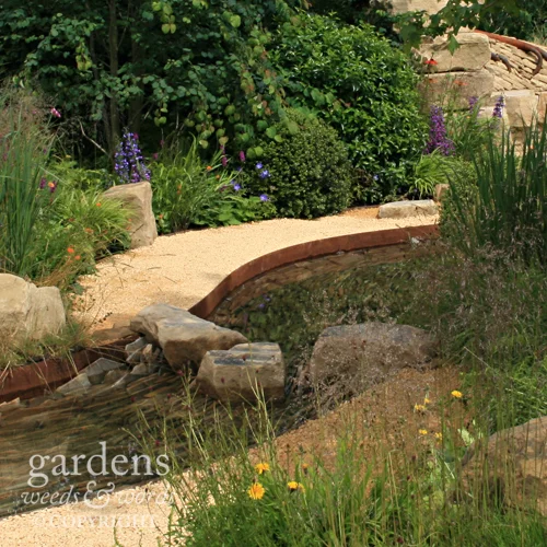 Detail from Zoflora’s garden of Outstanding Natural Beauty