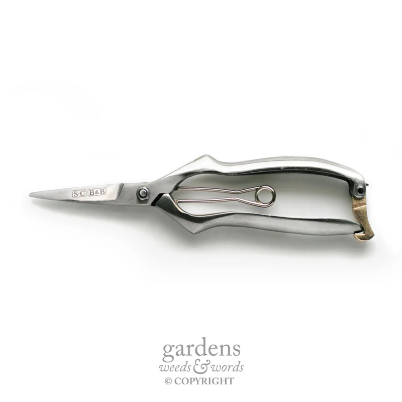 Small, but perfectly formed. 