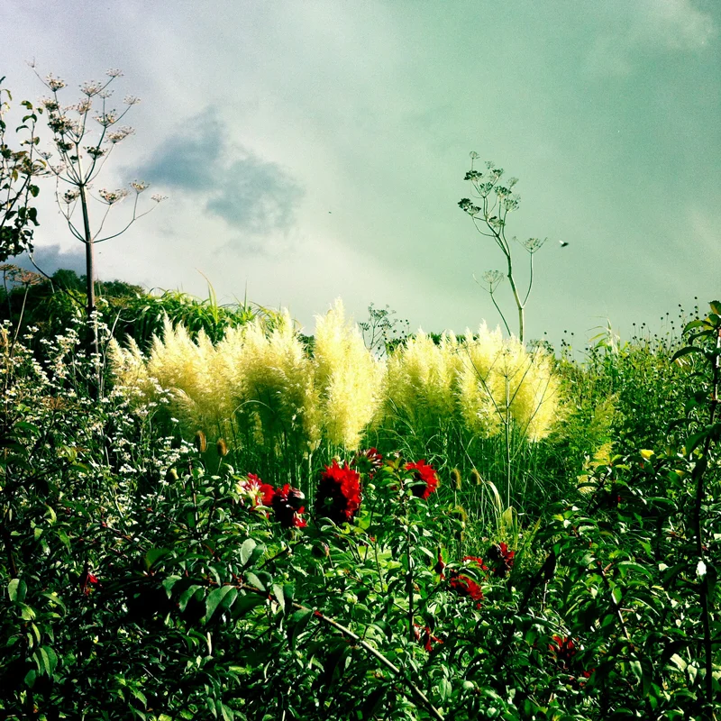It can be easy to over-use filters. Sometimes, as with the dramatic lighting in this scene, they can enhance a photo.