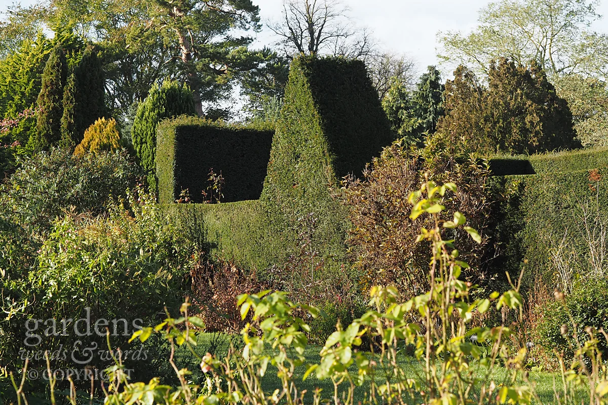 waterperry-border3-rt.jpg
