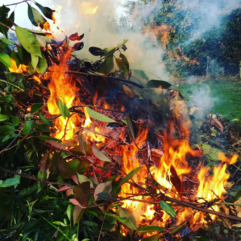 bonfire.jpg