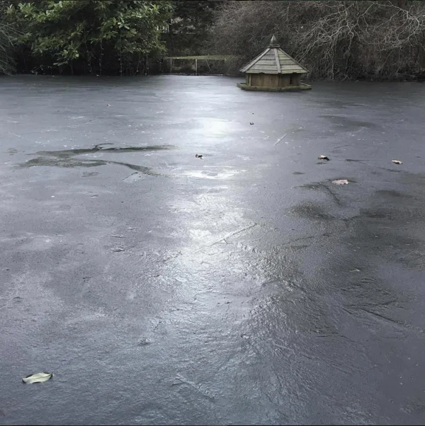 There have been frozen duck ponds…