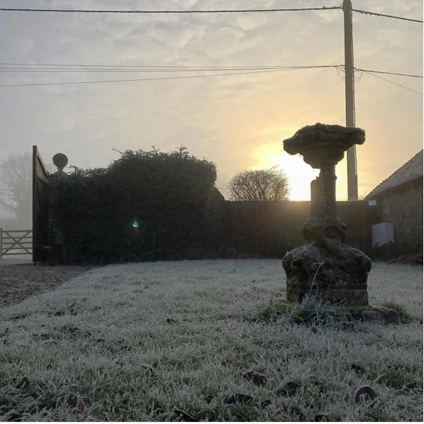 There have been beautiful, misty early mornings…