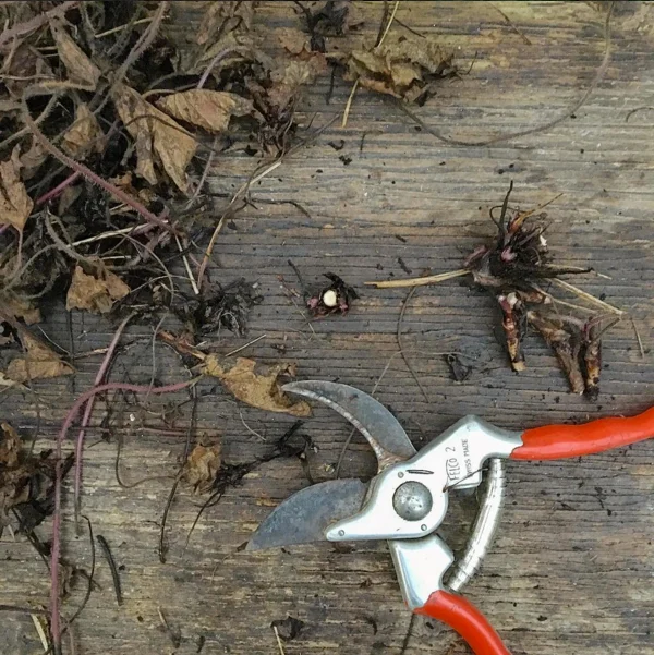 And, when it all gets too grim, there's been the potting bench in the greenhouse to escape to…
