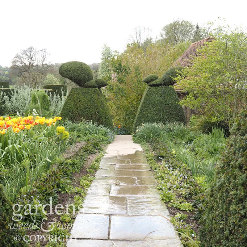 Over the edge at Great Dixter: the Peacock Garden. 