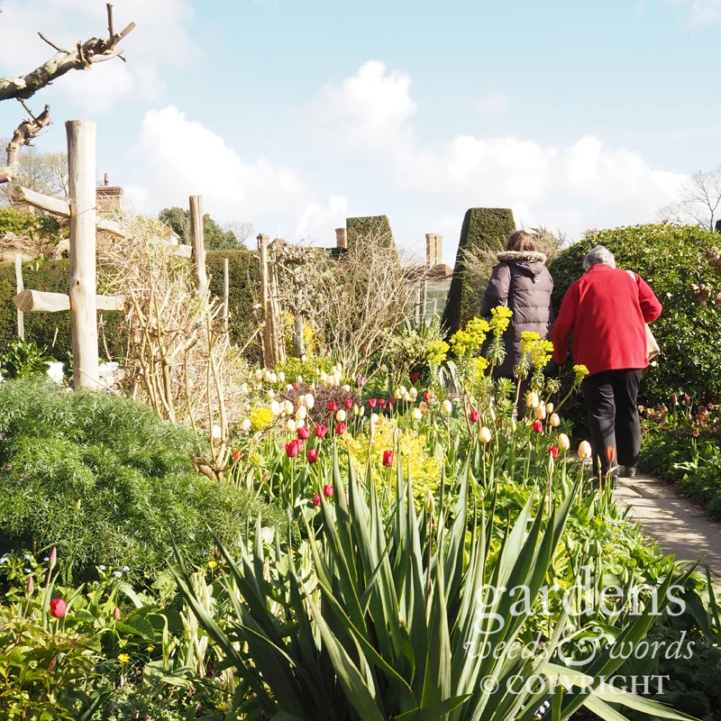 Great Dixter, en route to the vegetable garden, 1 April 2017