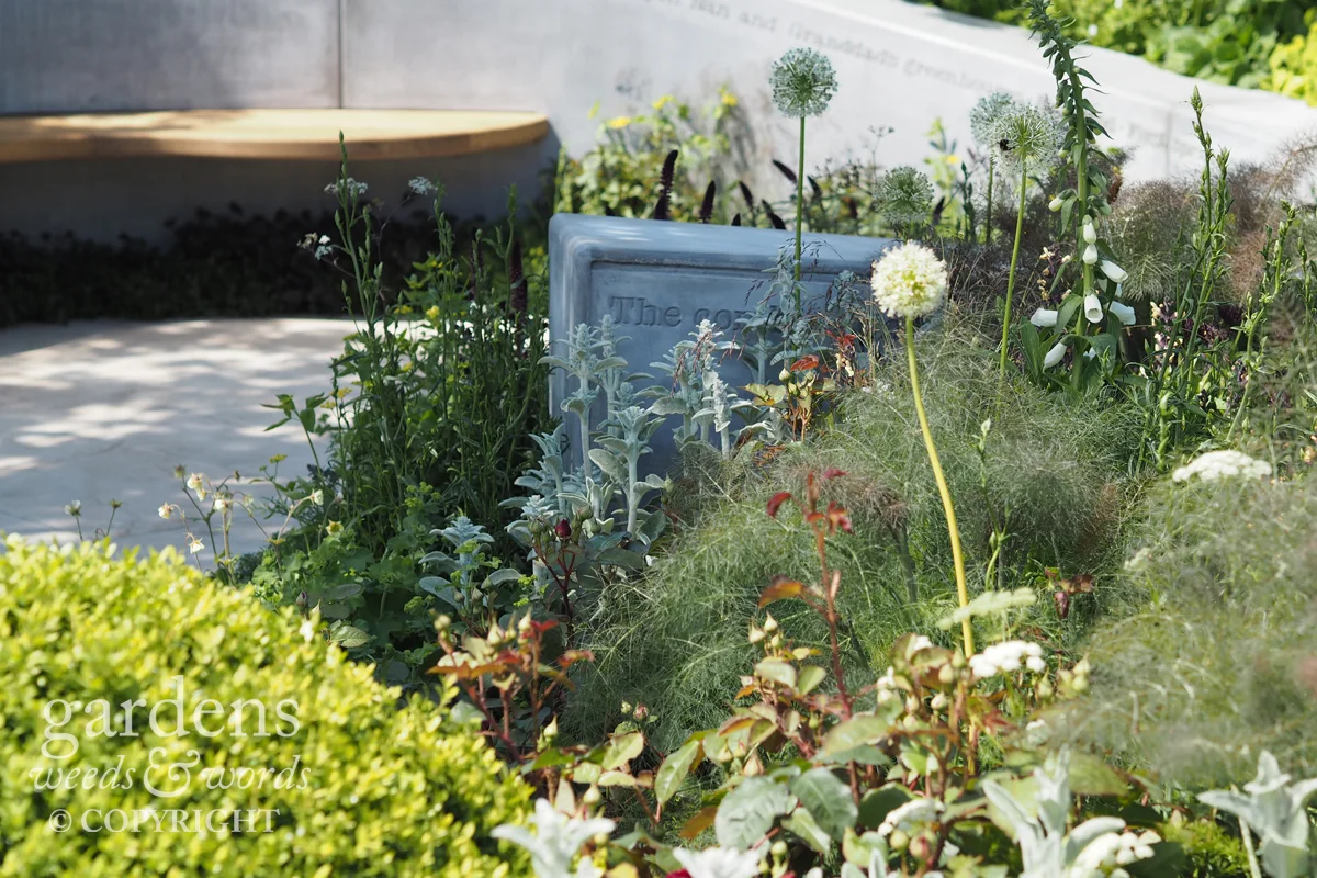 RHS Chelsea Flower Show 2017: detail from The Jo Whiley Scent Garden , designed by Tamara Bridge and Kate Savill .