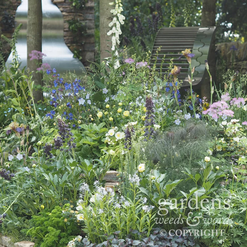 RHS Chelsea Flower Show 2017: detail from The Poetry Lover’s Garden , designed by Fiona Cadwallader