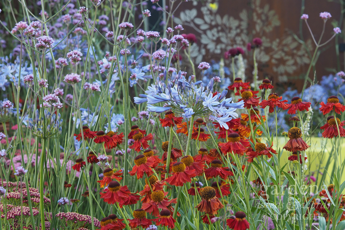 Detail from Colour Box by Charlie Bloom, RHS Hampton Court Flower Show 2017