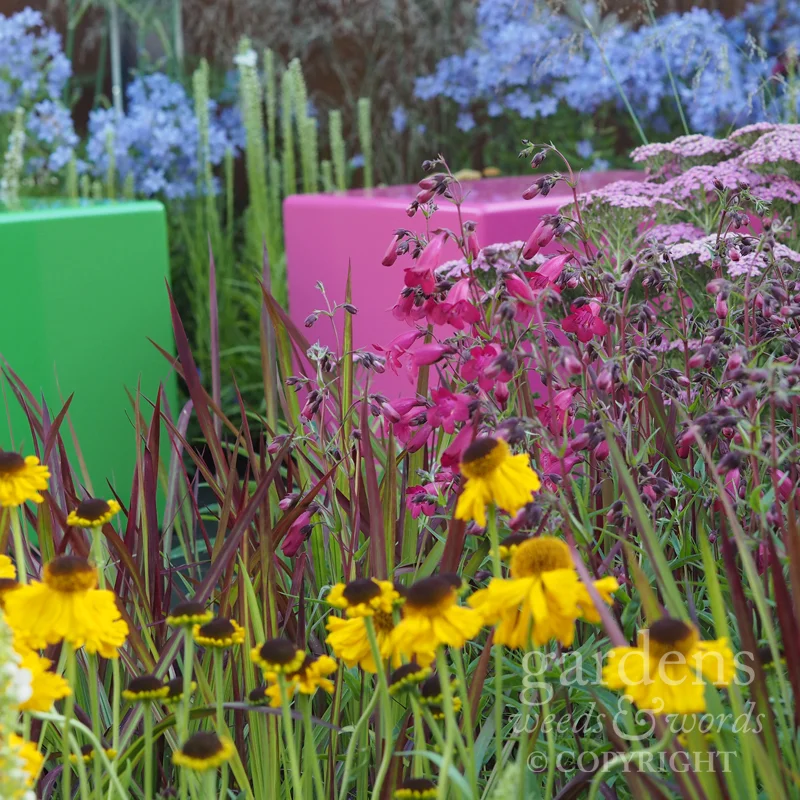 Detail from Colour Box by Charlie Bloom, RHS Hampton Court Flower Show 2017