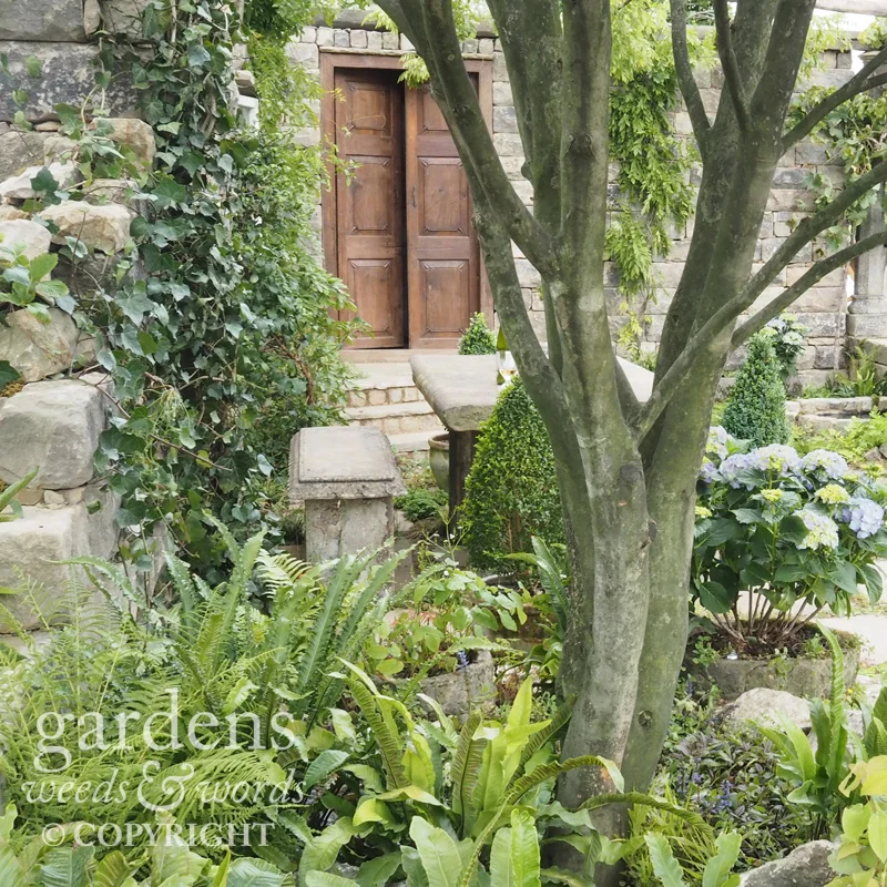 Detail from The Pazo's Secret Garden by Rose McMonigall, RHS Hampton Court Flower Show 2017