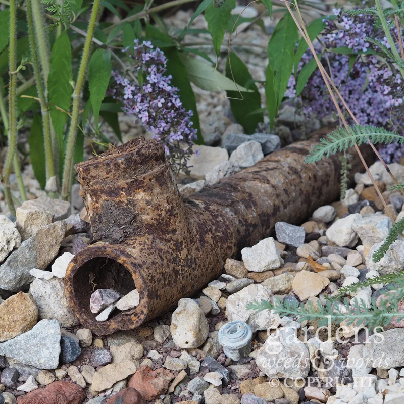 Detail from Brownfield – Metamorphosis by Martyn Wilson, RHS Hampton Court Flower Show 2017