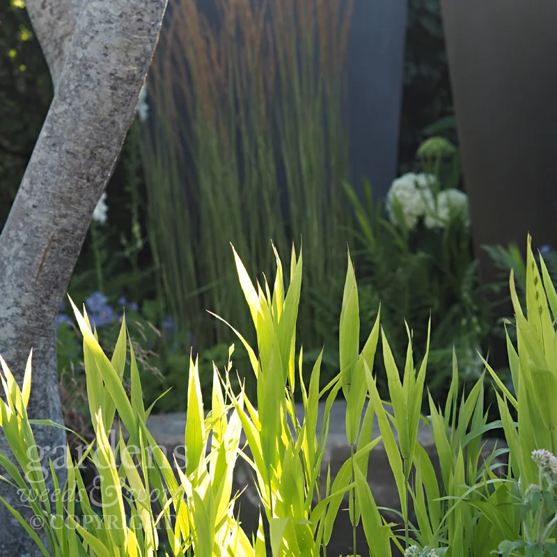Detail from Watch This Space by Andy Sturgeon, RHS Hampton Court Flower Show 2017