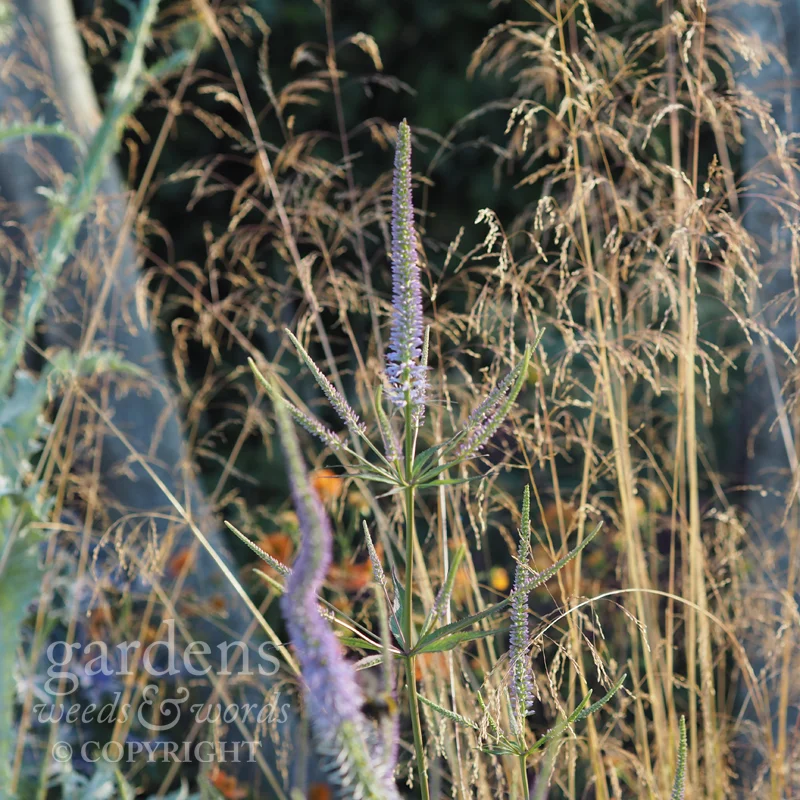 Detail from Watch This Space by Andy Sturgeon, RHS Hampton Court Flower Show 2017