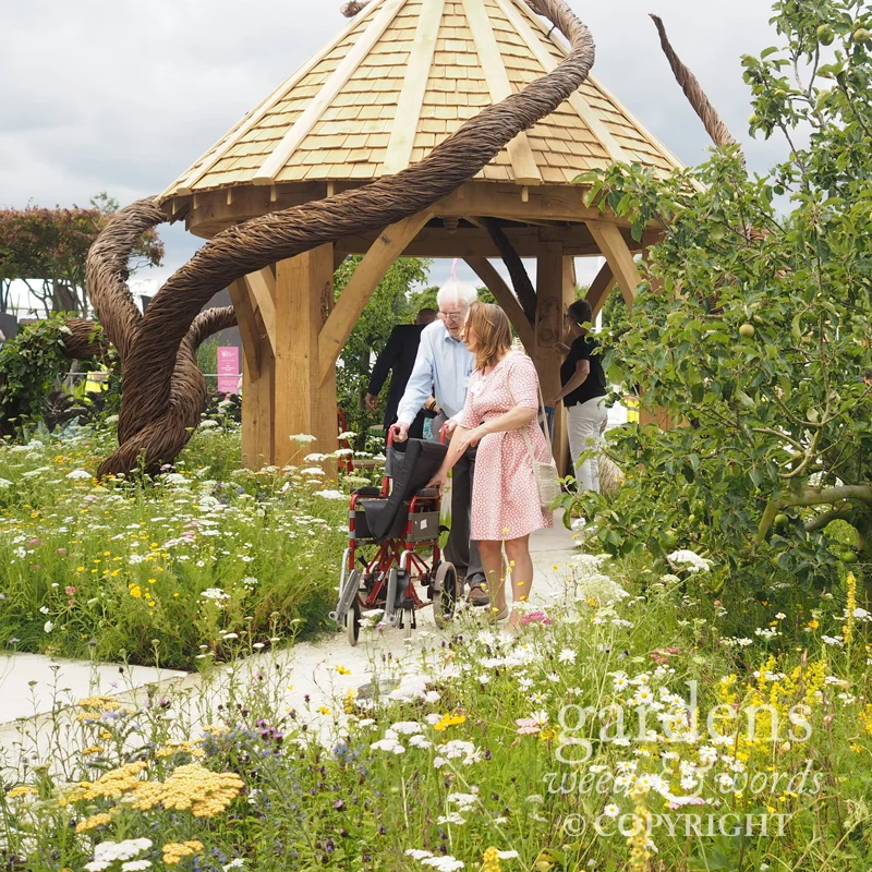 Detail from the Blind Veterans UK: It’s All About Community garden by Andrew Fisher Tomlinson and Dan Bowyer, RHS Hampton Court Flower Show 2017
