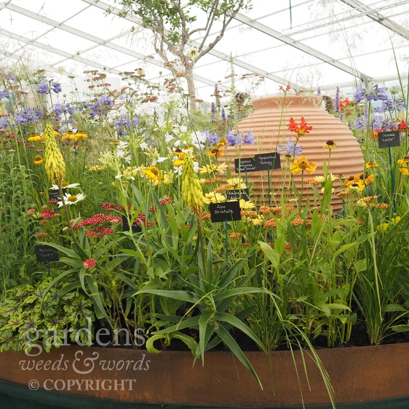 Detail from the Todd’s Botanics stand at RHS Hampton Court Flower Show.