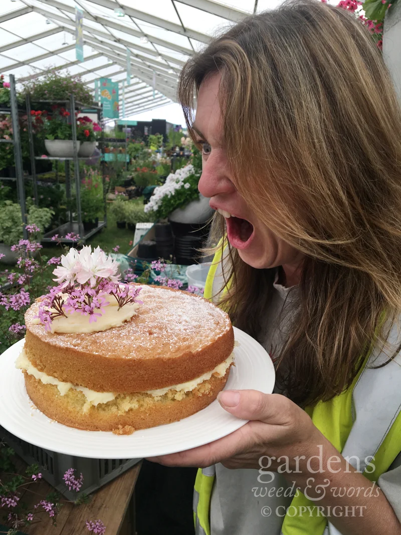 Pellie cake. It makes monsters of us all. 