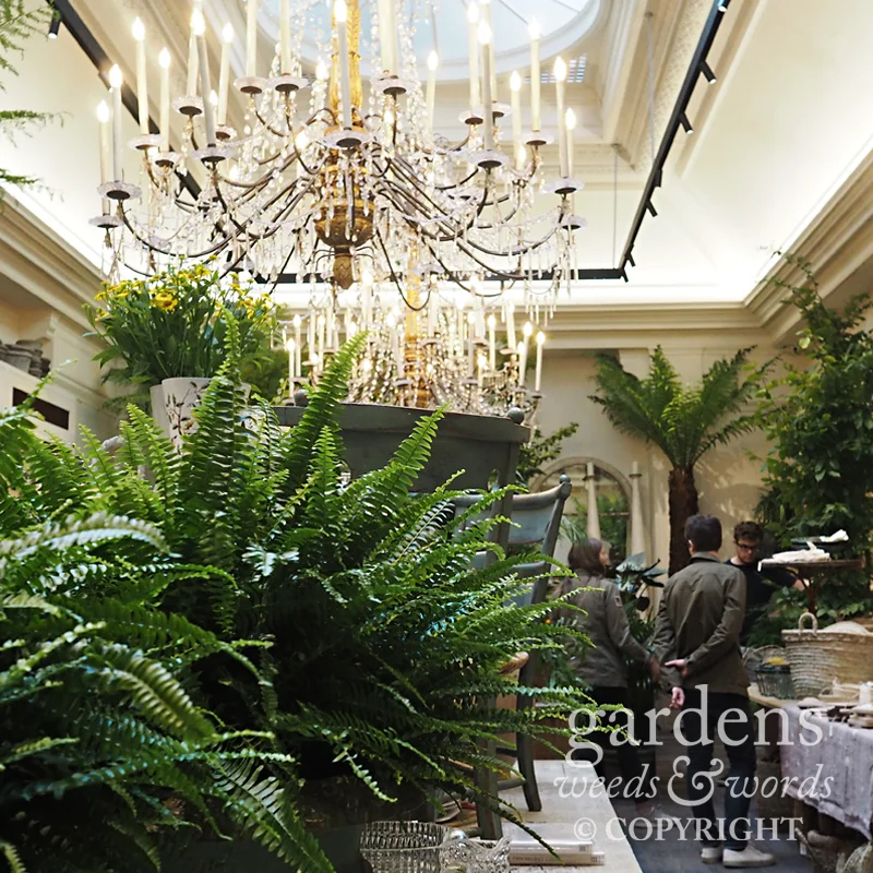 A glimpse of that wonderful ceiling and the chandeliers