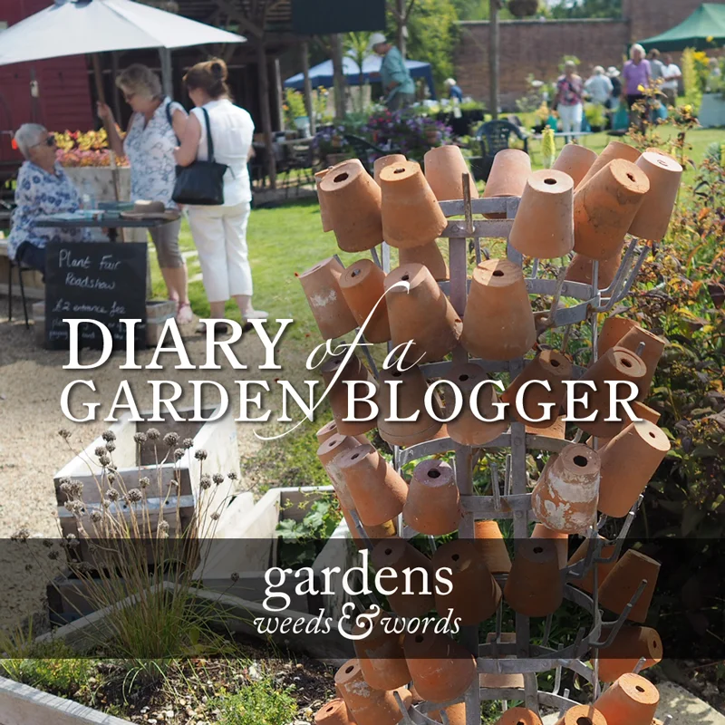 diary270817header.jpg