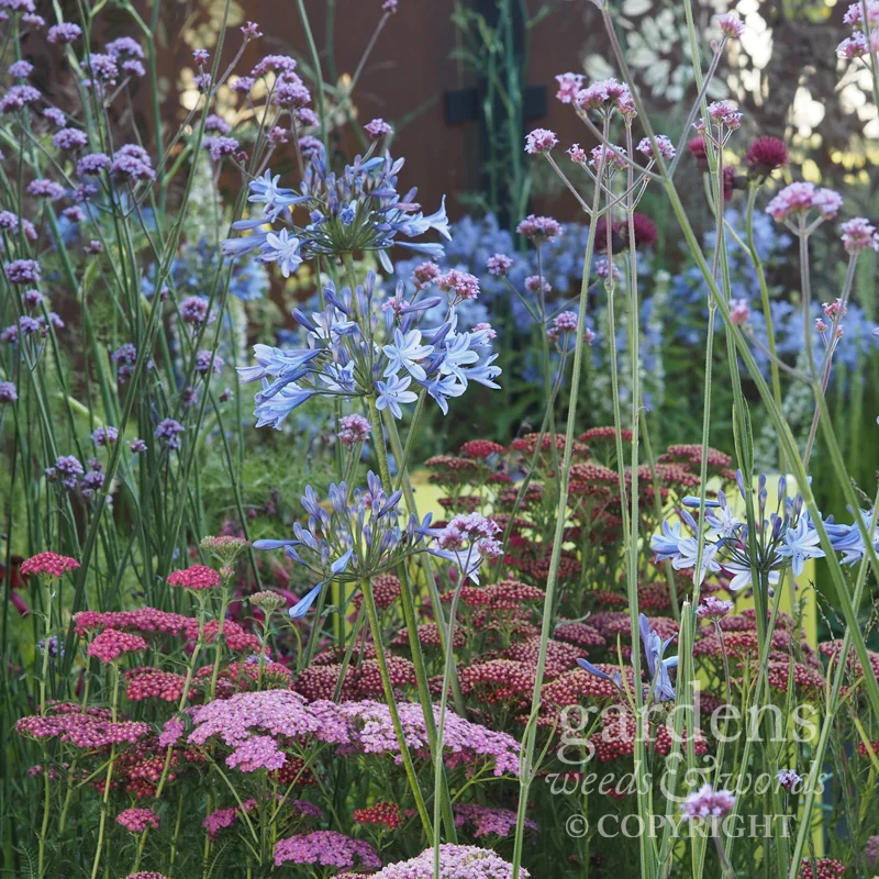 gardens.jpg