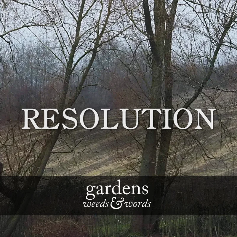 RESOLUTIONS_header.jpg