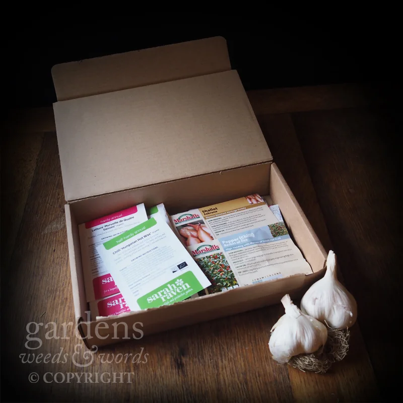 The naughty postman, bringing goodies for the garden almost on a daily basis just now.